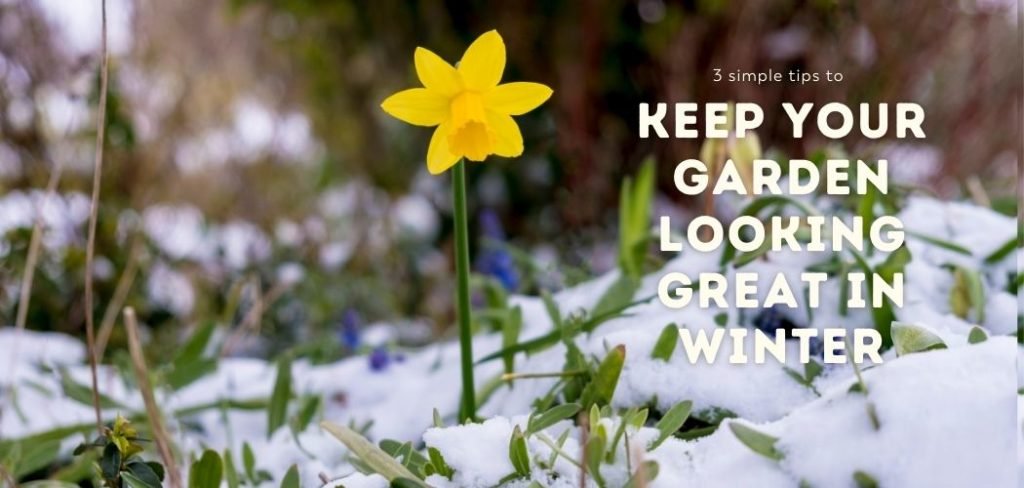 keep your garden looking great in winter